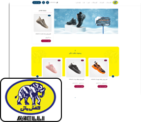سایت شرکت تولیدی کفش ملی طراحی شده با وردپرس